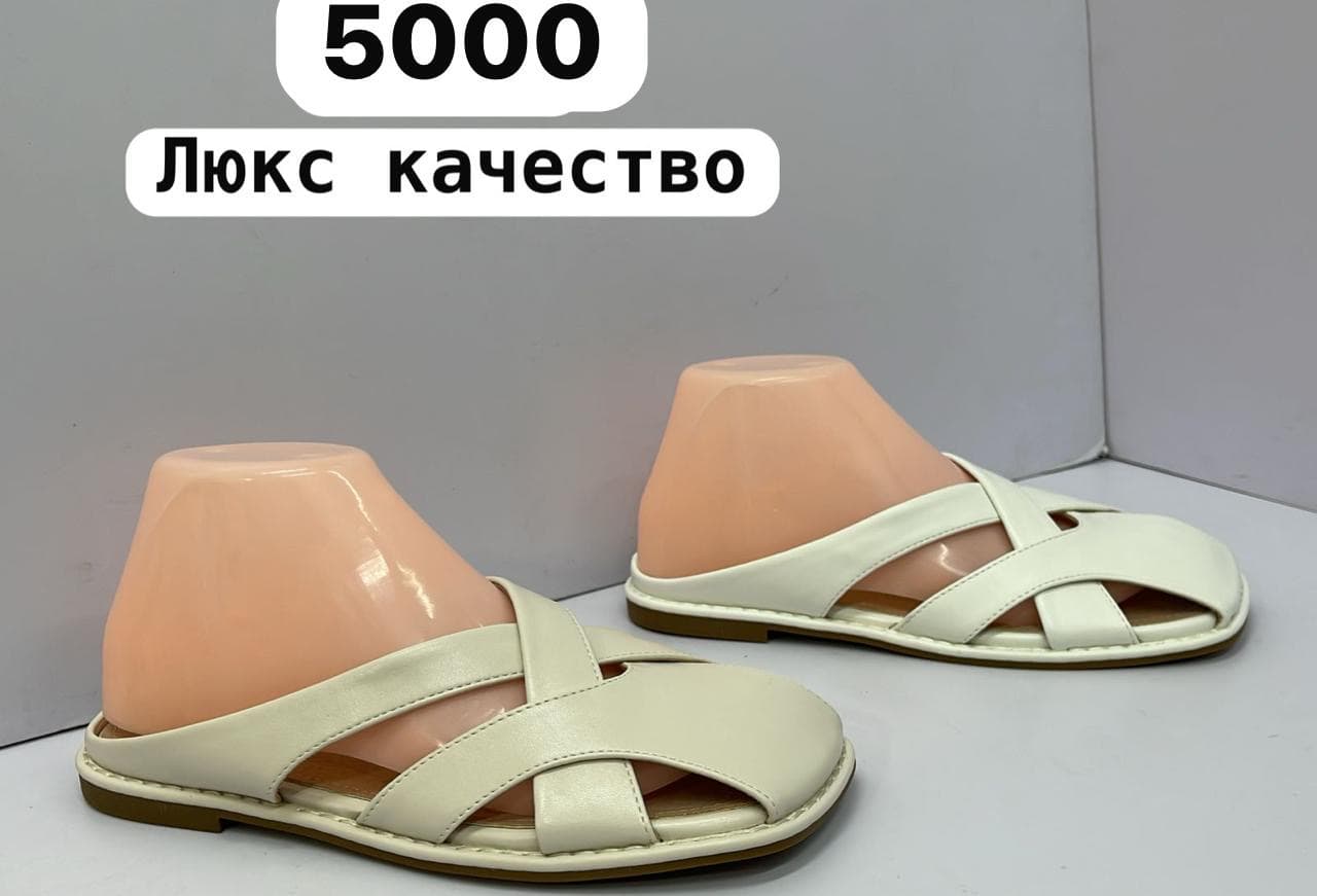 шлопка